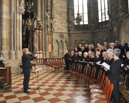 Koorreis Wenen, zingen in de Stephansdom Wenen