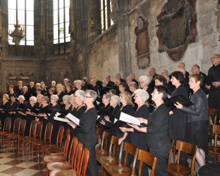 Koorreis Wenen, zingen in de Stephansdom Wenen