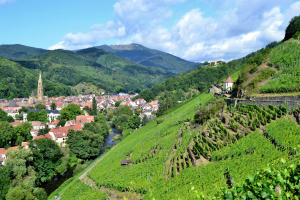 Koorreis Reims- de Champagne 