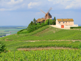 Koorreis Reims- de Champagne 